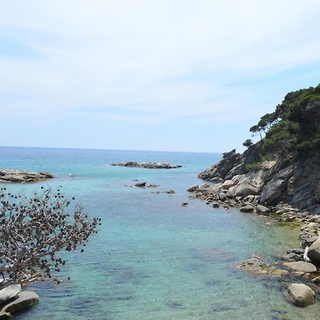 Apartaments Gibert Sant Antoni De Calonge Dış mekan fotoğraf