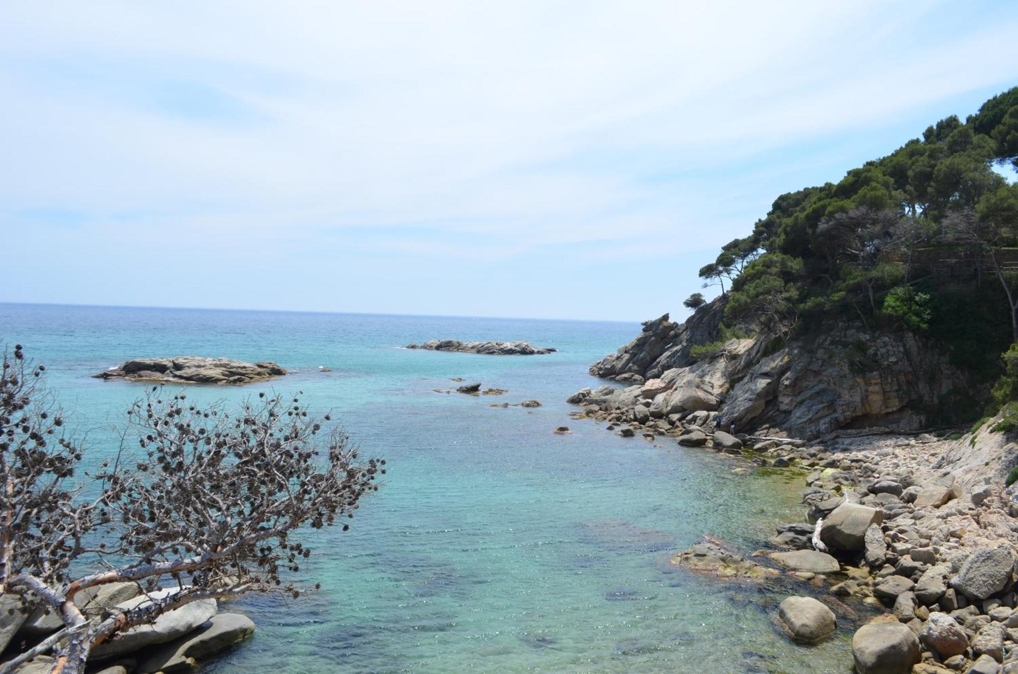 Apartaments Gibert Sant Antoni De Calonge Dış mekan fotoğraf